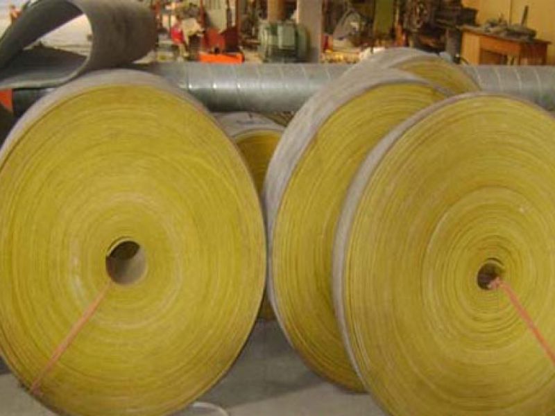 Băng tải mắc gầu